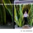 Deep Dive - WebAR Workshop: Augmented Reality Made Easy - PaperSpecs