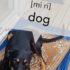 New Snapchat Augmented Reality lens to educate Central West residents on Wiradjuri language | Central Western Daily | Orange, NSW