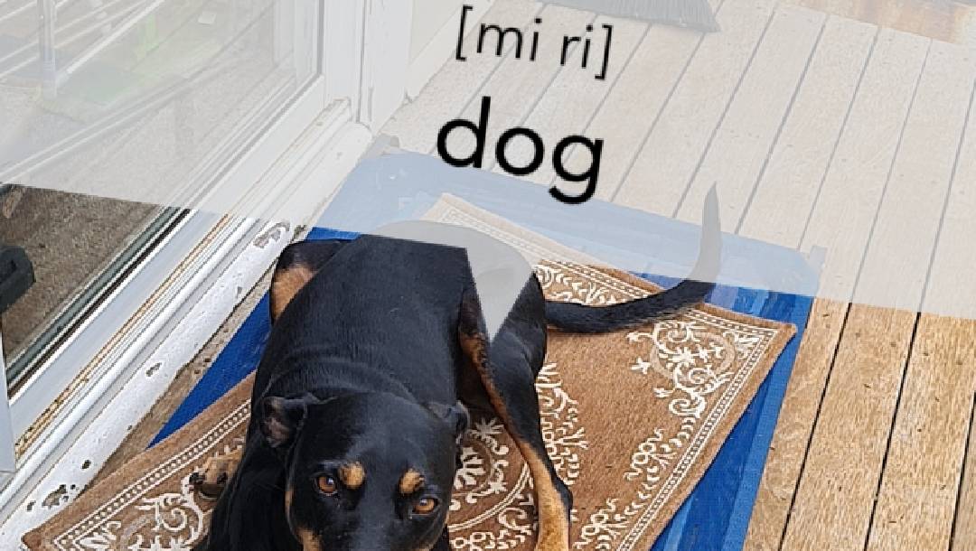 New Snapchat Augmented Reality lens to educate Central West residents on Wiradjuri language | Central Western Daily | Orange, NSW