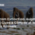 Back From Extinction: Augmented Reality Gives a Glimpse at Ice Age-Era Animals - 04.03.2022, Sputnik International
