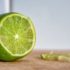 Limewire Is Coming Back as a Musical NFT Marketplace