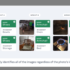 Meta has launched a self-supervised model for accurate object identification, to up its augmented reality game