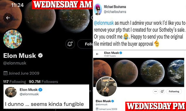 Elon Musk changes Twitter profile picture in perceived 'troll' to NFT community as sales plummet 92% | Daily Mail Online