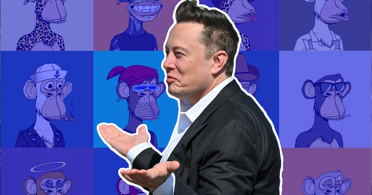 Famous NFT Hater Elon Musk Changes Profile Picture to Stolen Apes