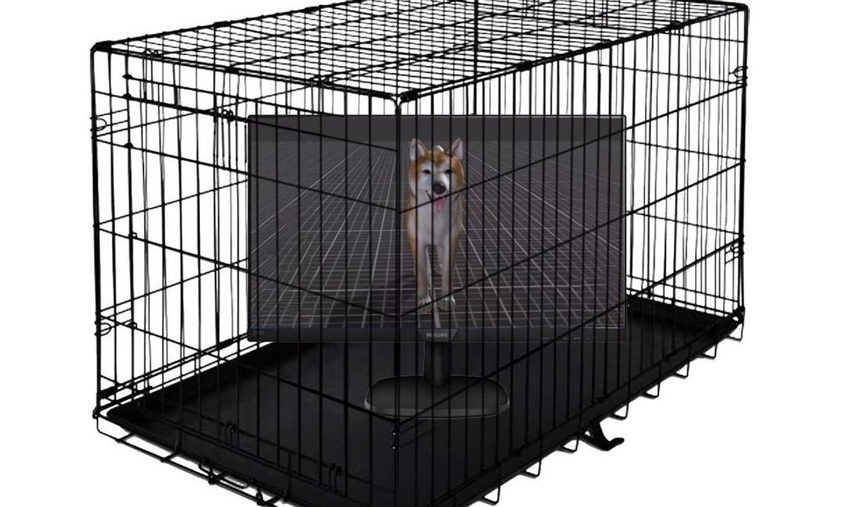From NFT pets to a dystopian video game, digital art stands out at Nada New York 2022