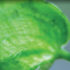 Ecolabel with Augmented Reality on the Website to Enhance Student Environmental Awareness