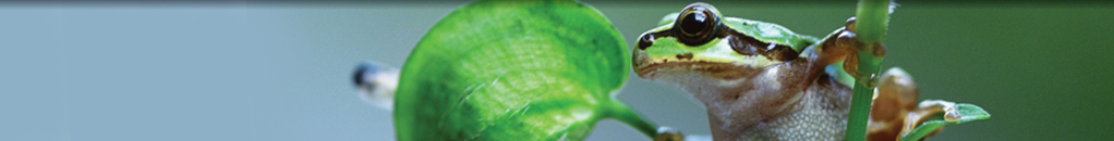 Ecolabel with Augmented Reality on the Website to Enhance Student Environmental Awareness