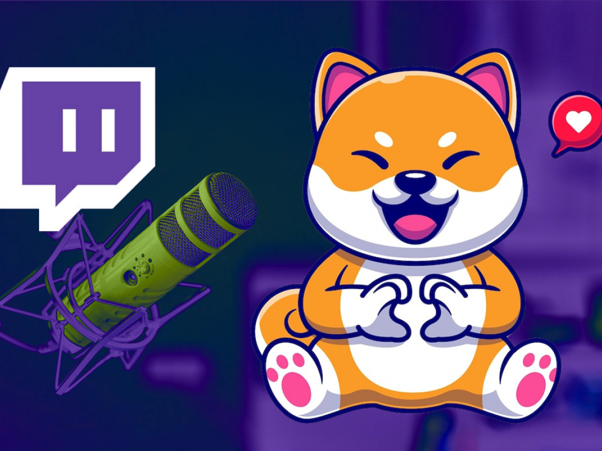 Shiba Inu's Welly NFT Goes Live on Twitch: Details