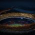 Star Sports and Quidich takes drone augmented reality to new heights