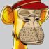 How An NFT Trader Lost $150K Trying to Troll Twitter Bots - CNET