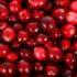 Benefits of Augmented Reality in Marketing According to Ocean Spray
