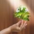 Earth Day 2022: How augmented reality helps the environment