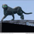 GPRS ‘Goes Hollywood’ with Acquisition of TruePoint Laser Scanning to Help Bring Augmented Reality to the NFL