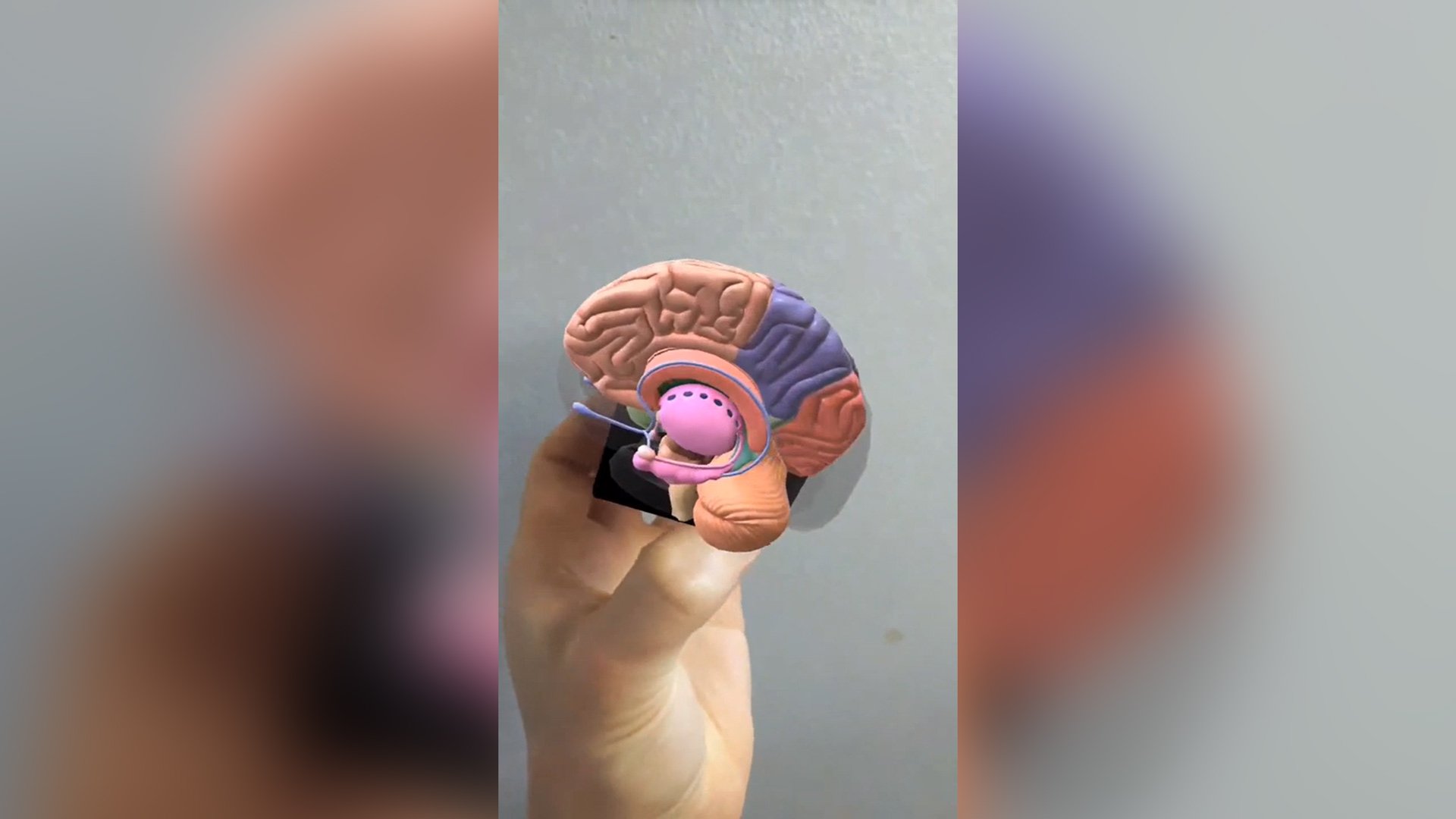 3D Print This Augmented Reality Cube, Hold Brains (And Other Things) In Your Hands | All3DP