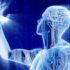 World Economic Forum says it’s time to start microchipping humans with "augmented reality" - A CROOKED PATH