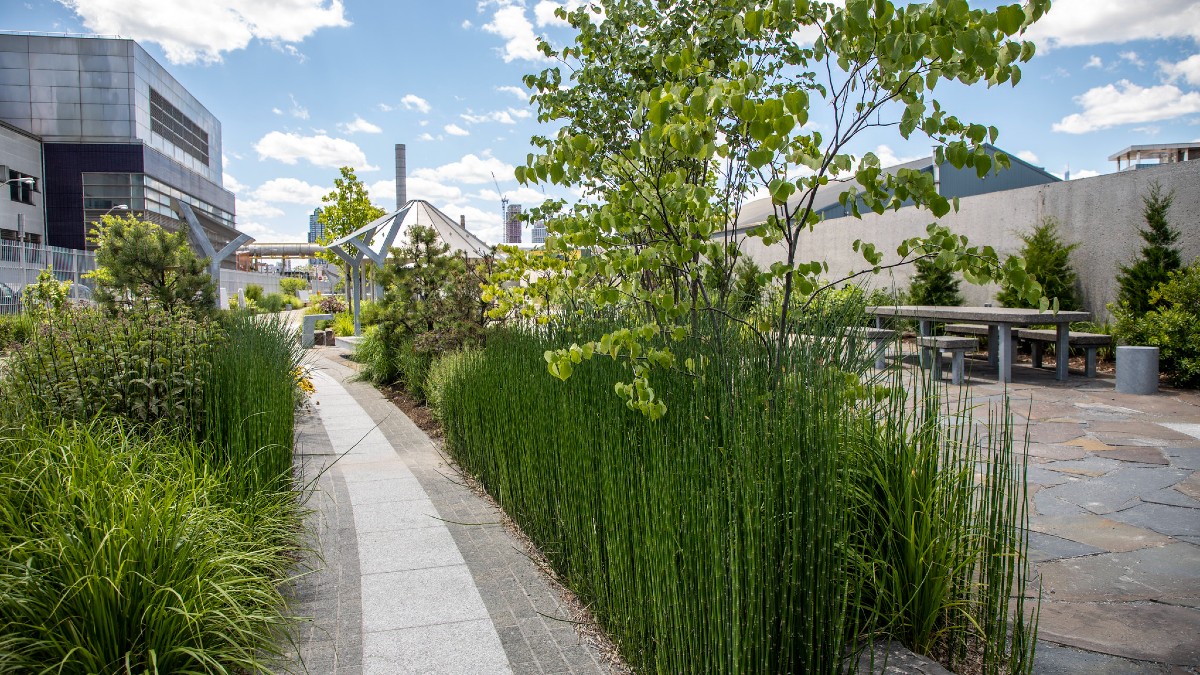 Snapchat's Augmented Reality Experience Launches at Greenpoint's Newtown Creek
