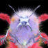Jappari Bugs: Limited and Handmade NFT Series of Plush Insects Designed by Vakho Jappari » Design You Trust