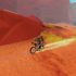 Dustland Rider - The world’s first ride-to-earn blockchain cycling game | Product Hunt