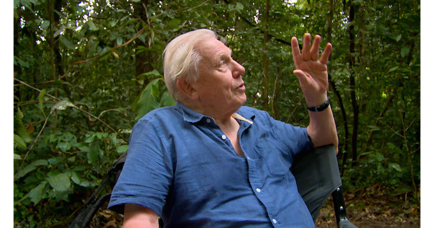 Free Virtual Reality Experience Featuring David Attenborough To Open In London | Londonist
