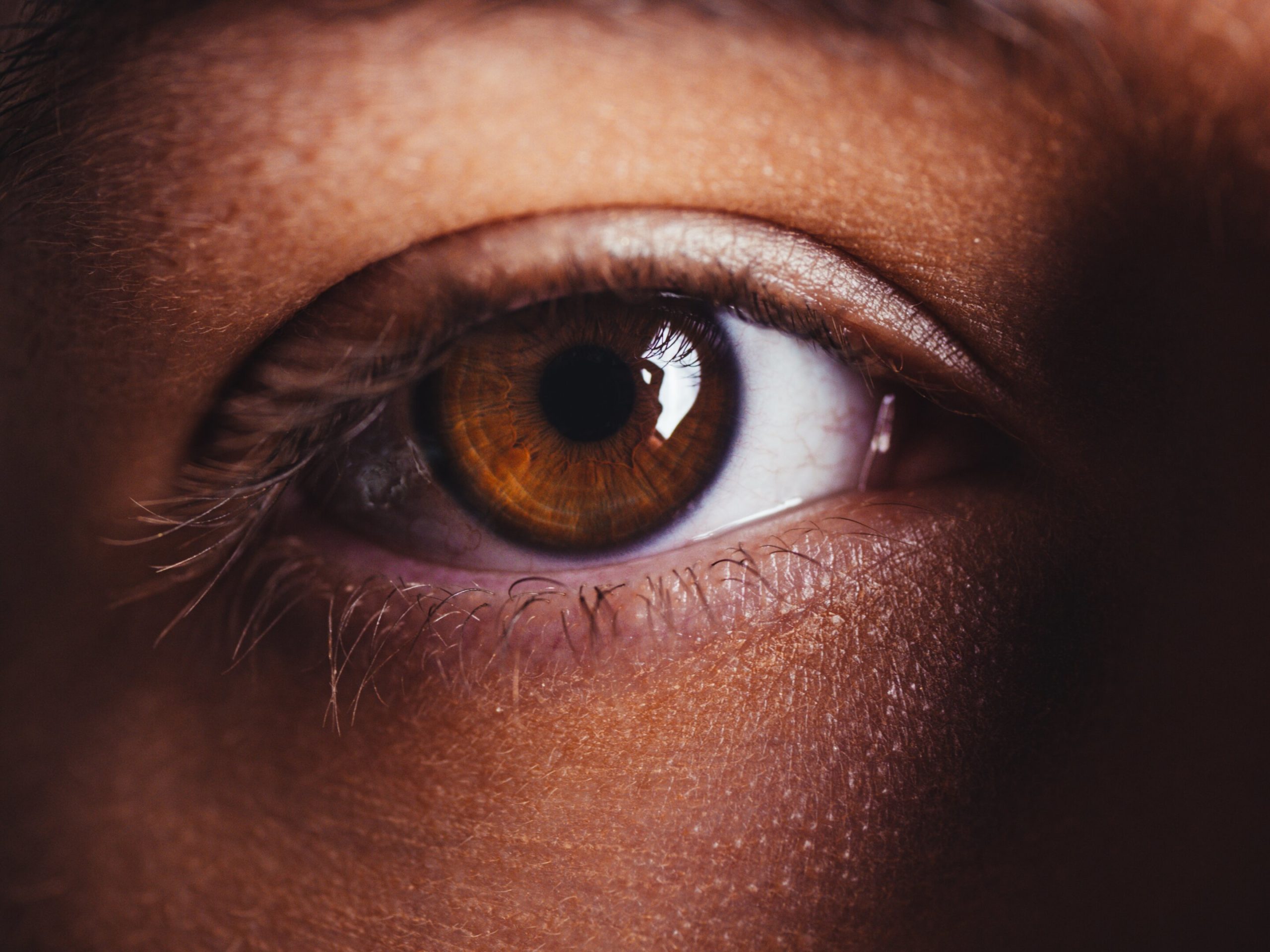 Risk of heart disease can be predicted with simple eye test through artificial intelligence algorithm, research finds