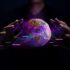 Why We Need to Build an Environmentally Sustainable Web3 World