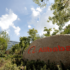 Alibaba Cloud to introduce blockchain node for Web 3.0 ecosystem – Back End News
