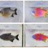 Artificial intelligence helps Brazilian breeders select desired traits of native fish