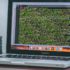 What Is the Difference Between Data Science and Artificial Intelligence