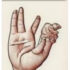 A.I. Creates Universal Sign Language IHONIALLLILAL – Tacky Raccoons