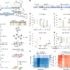 Artificial intelligence can improve efficiency of genome editing