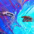 Artificial Intelligence: The Future of Human Creativity