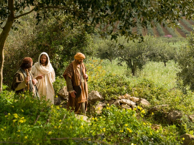 Follow Jesus Christ’s Steps With Augmented Reality Study Tool for the New Testa