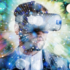 Take Augmented Reality and Automotive Designs to twith the Latest Ansys Zemax Updateshe Next Level