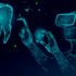 Virtual Reality: Will Technology Help Dental Offices Manage Patients’ Anxiety?