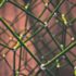 What challenges can blockchain resolve in the oil industry?