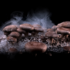 A Virtual Reality Docuseries Wants You to See Food as Art at SXSW