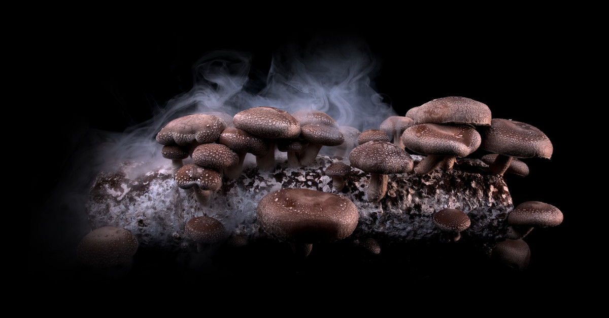 A Virtual Reality Docuseries Wants You to See Food as Art at SXSW