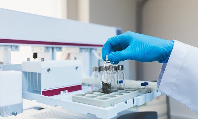 Artificial intelligence could be misused to design biological weapons, warn scientists | Daily Mail Online