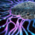 Artificial intelligence drives 62% of insurers to cut headcount – survey | Insurance Business Canada