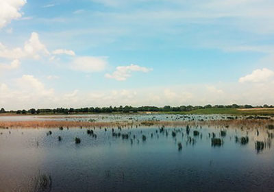 Jacksonville, Florida partners with artificial intelligence company to improve stormwater fee assessment | Underground Construction