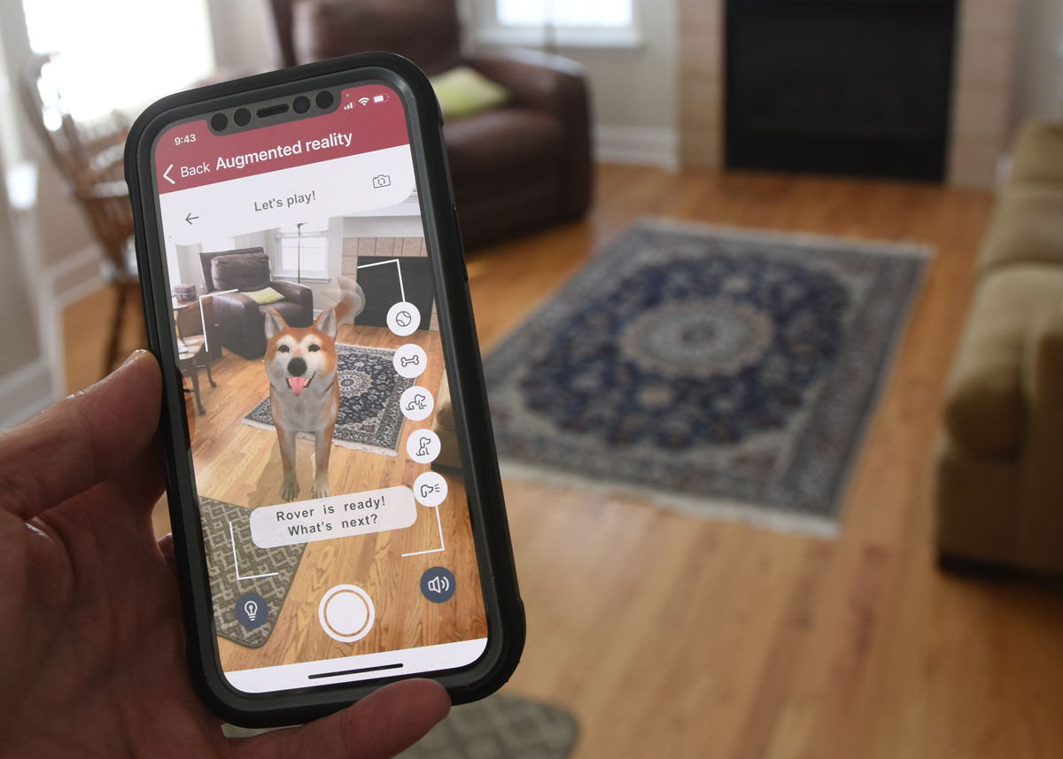 Who let the dogs out? The UCHealth app’s augmented reality feature did.