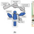 Cancers | Free Full-Text | Efficacy of a Novel Augmented Reality Navigation System Using 3D Computer Graphic Modeling in Endoscopic Transsphenoidal Surgery for Sellar and Parasellar Tumors