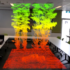 Forestry virtual reality project aims to give plantations better information about quality, progress - ABC News
