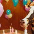 Instant Videos Could Represent the Next Leap in A.I. Technology - The New York Times