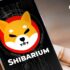 Shiba Inu (SHIB): Blockchain Dev Excited as Shibarium Beta Launch Kicks Off Road Map Progress