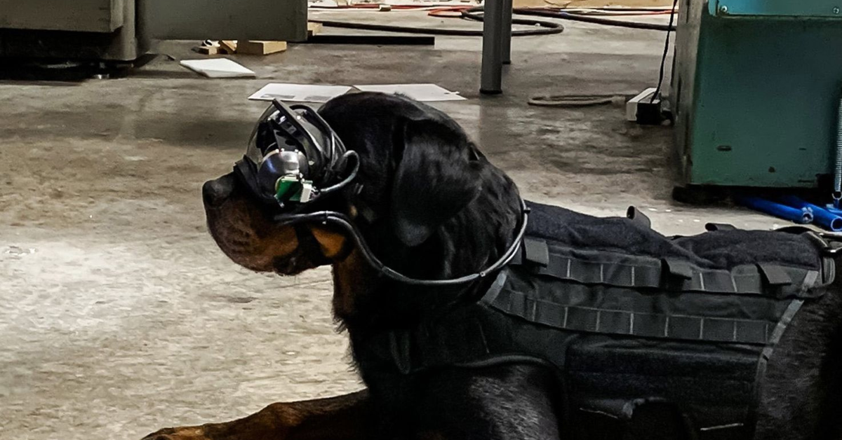 The US military is testing out augmented reality dog goggles.