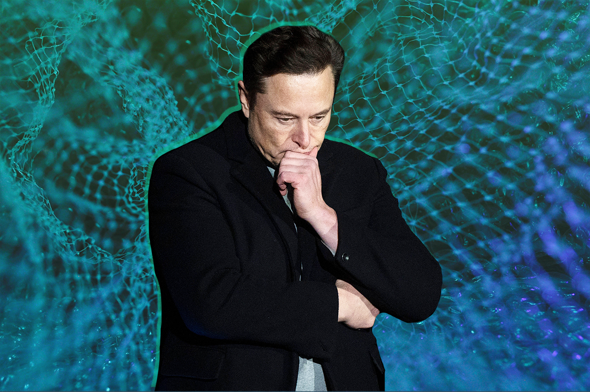 Why Elon Musk joined a call to stop A.I. development.